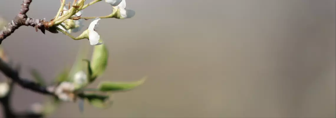 Myymälämme palvelee kouvolan keskustassa 53