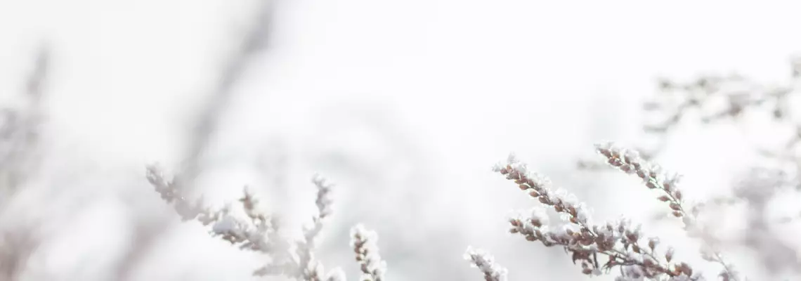 Myymälämme palvelee kouvolan keskustassa 53