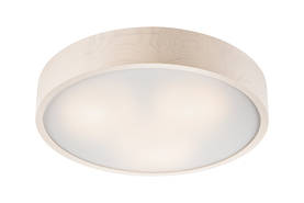 214-21 Ezra puureunaplafondi 47cm, valkolakattu, e.litevalaisimet - Plafondit - 101392 - 1