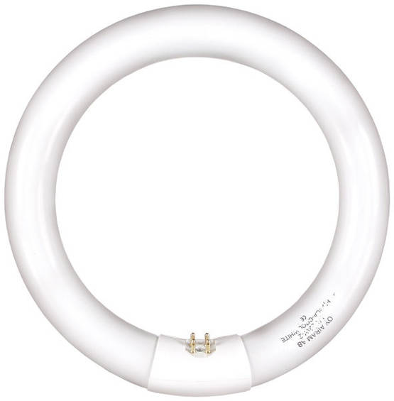 4940723 T9 rengasloistelamppu FC 22W, 4000K Sylvania - Loistelamput - 005902 - 1