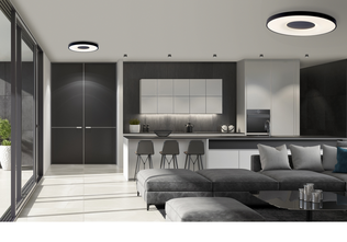 7561 Coin kattovalaisin, musta, Mantra, E.litevalaisimet. - Plafondit - 184403 - 2