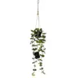 857-56 Laos koristekasvi 60cm, paristokäyttöinen, Star Trading - Muut - 003003 - 4
