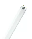 4932172 L 16W/840 erikoismittainen loisteputki, T8, Lumilux Cool White - Loistelamput - 185563 - 1