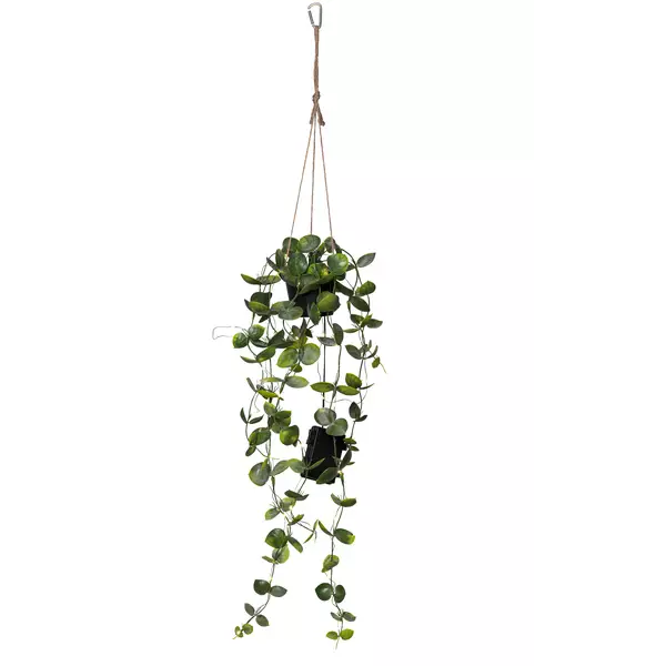 857-56 Laos koristekasvi 60cm, paristokäyttöinen, Star Trading - Muut - 003003 - 1