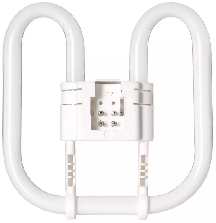 21W 2D 3000K perhosloisteputki 4-pin GR10 kanta - Loistelamput - 005484 - 1