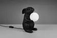 R56511002 Rabbit pupu ja pallo - pöytävalaisin, Reality - Pöytävalaisimet - 185537 - 3