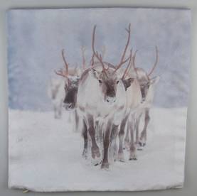70496 Talviporot - tyyny, 30x30 cm, Weiste - Sisustustuotteet ja astiat - 181538 - 1