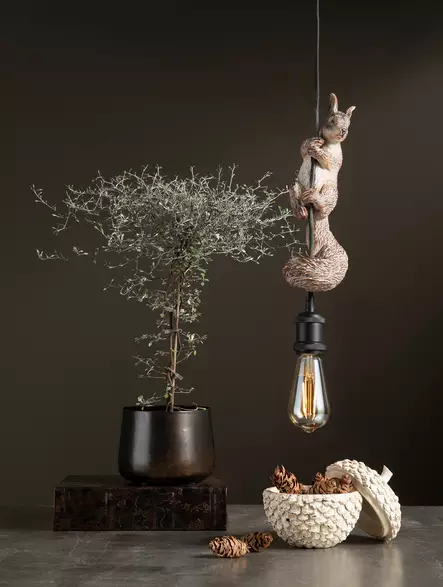 1004083 Squirrel Orava- riippuvalaisin, A Lot - Riippuvat valaisimet - 002958 - 2