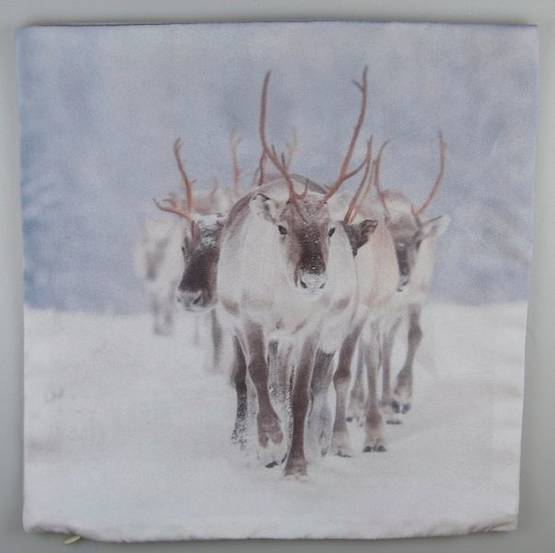 70496 Talviporot - tyyny, 30x30 cm, Weiste - Sisustustuotteet ja astiat - 181538 - 1