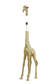 1729618 Giraffe lattiavalaisimen jalka ilman varjostinta E27 kulta, Light & Living, Focus Interiors - Lattiavalaisimet - 006969 - 2