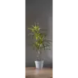 857-55 Bali koristepuu ledeillä 90cm, paristokäyttöinen, Star Trading - Muut - 008249 - 5