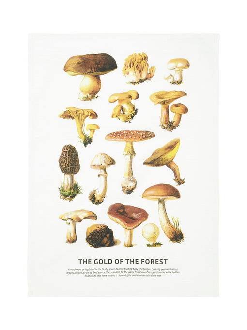 1377-73-066 Svamp keittiöpyyhe 50x70cm, Svanefors, Noortrade - Tekstiilit ja asusteet - 184889 - 1